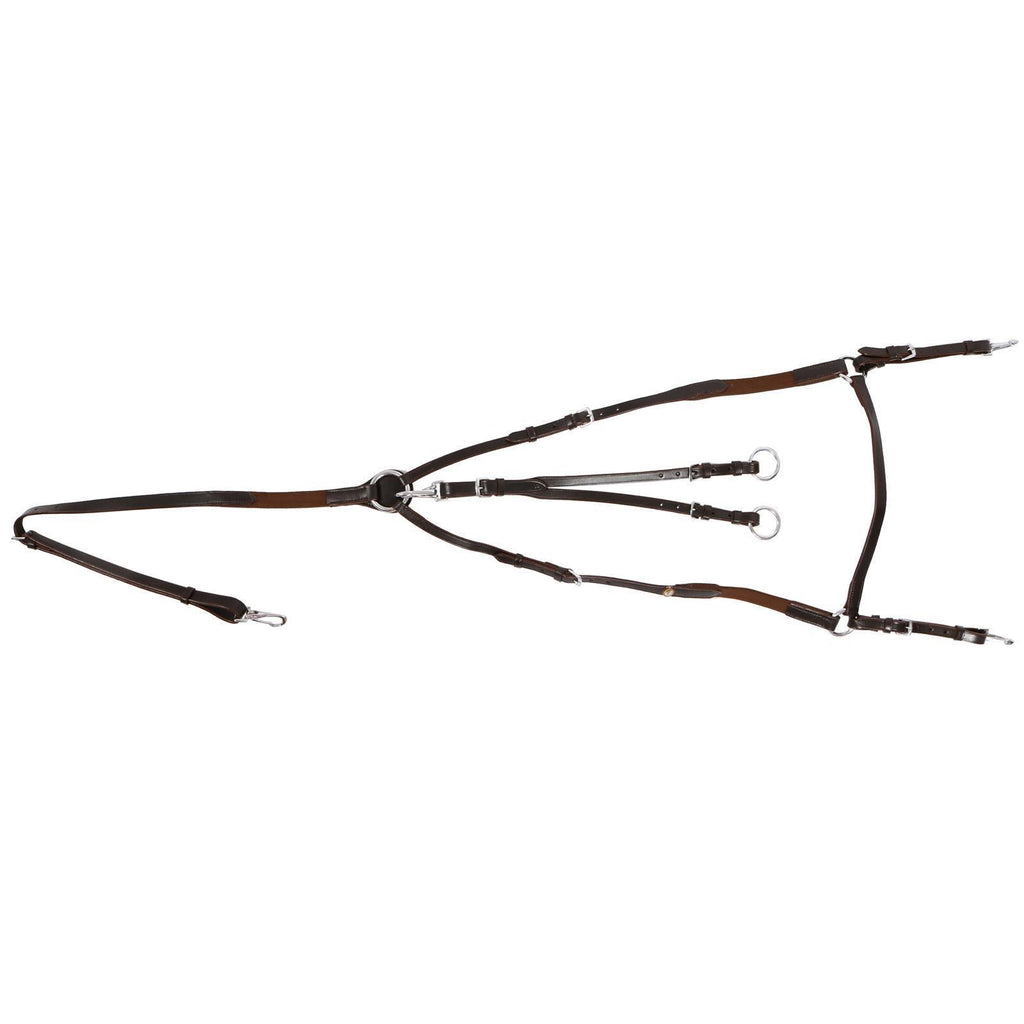 Vorderzeug Bad Harzburg braun/silber