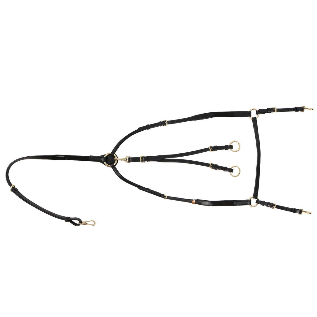 Vorderzeug Bad Harzburg schwarz/messing