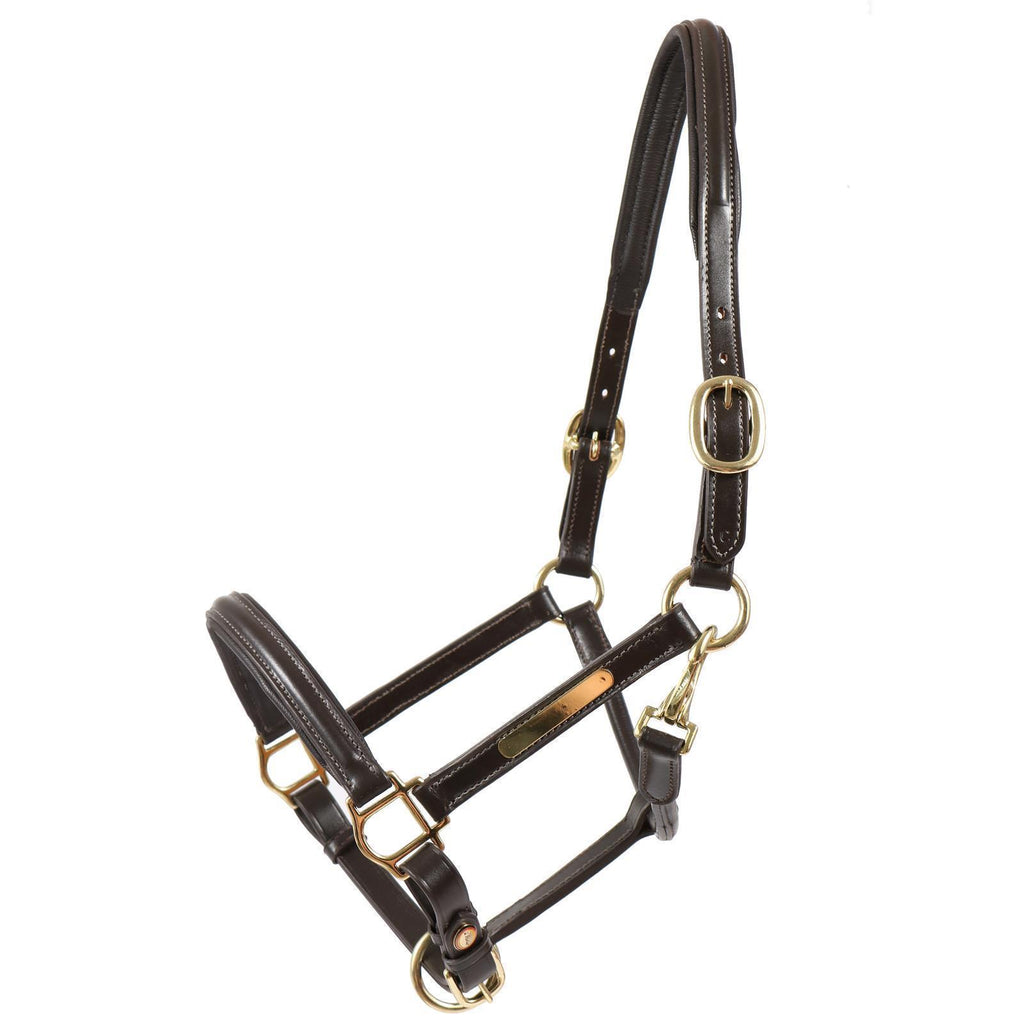 Halfter Sahrendorf braun/messing