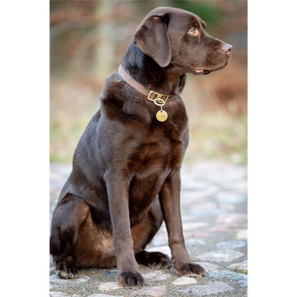 Hunde- und Pferdemarke rund für Gravur