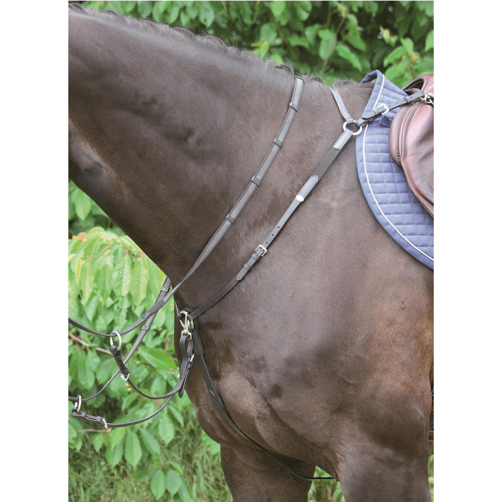 Vorderzeug Bad Harzburg schwarz/silber